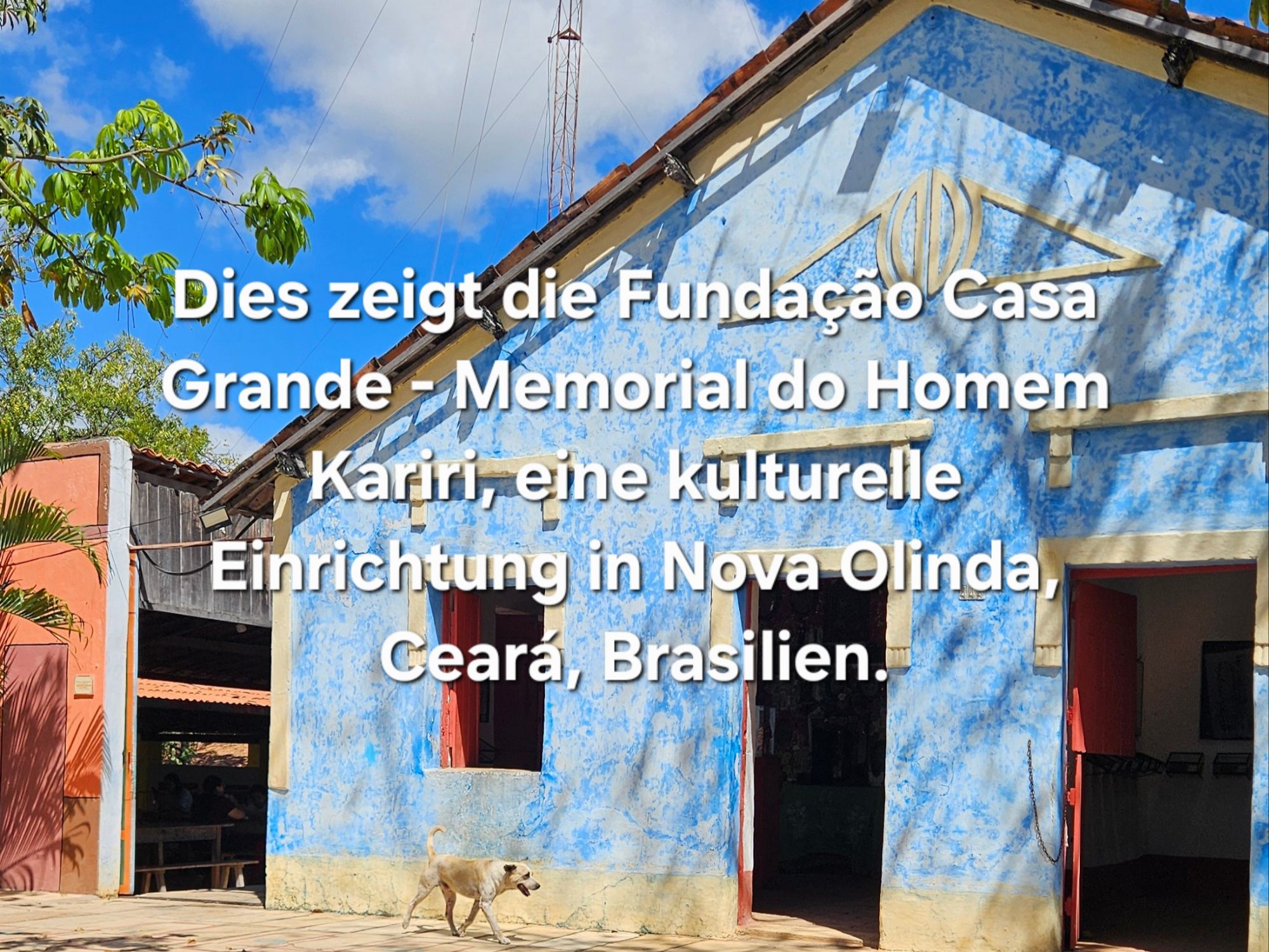 Kinder an die Macht?